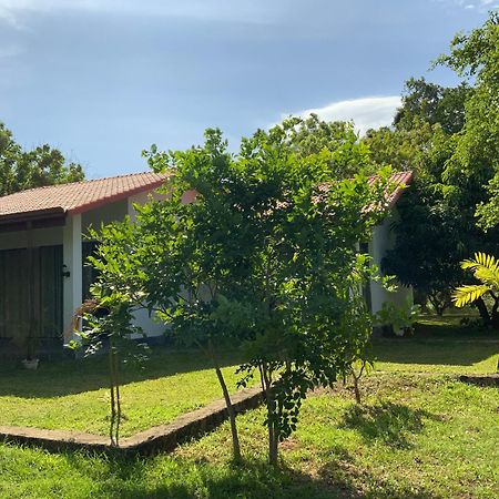 Nature Resort Polonnaruwa Exterior foto
