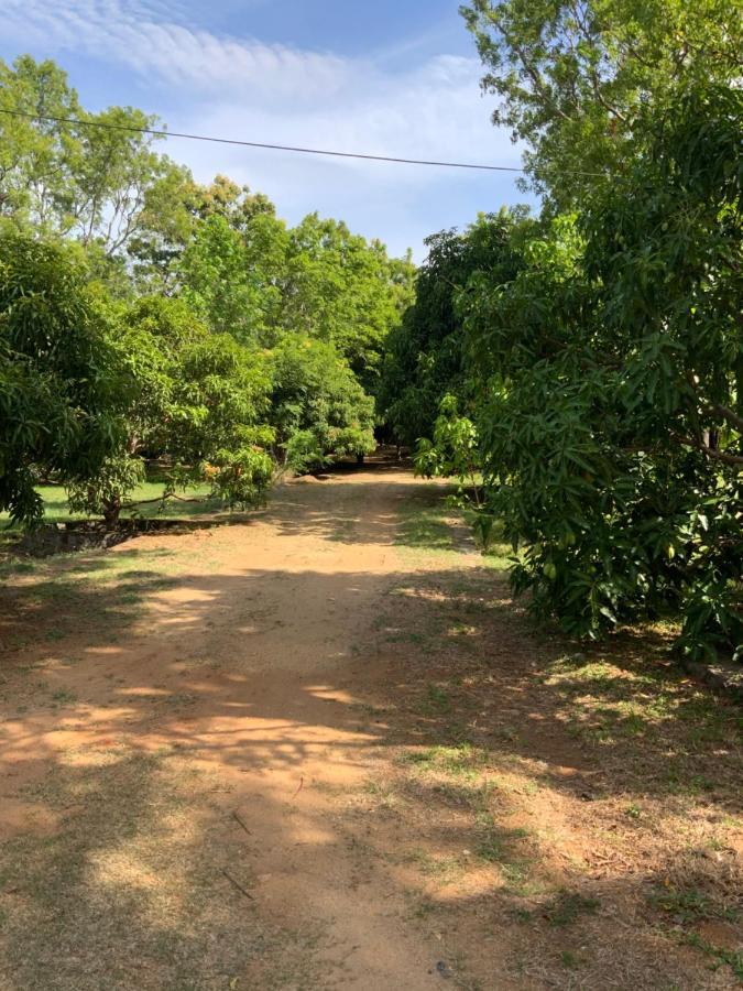 Nature Resort Polonnaruwa Exterior foto