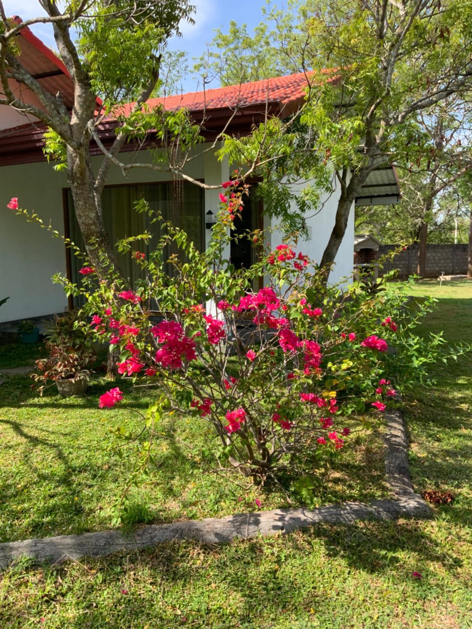 Nature Resort Polonnaruwa Exterior foto