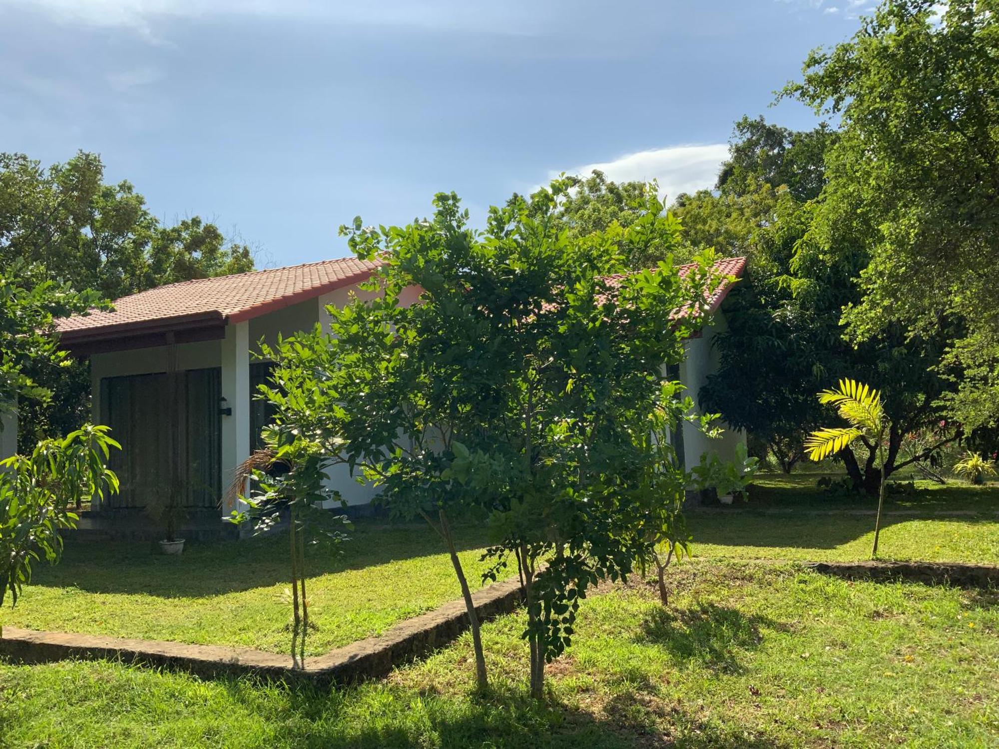 Nature Resort Polonnaruwa Exterior foto