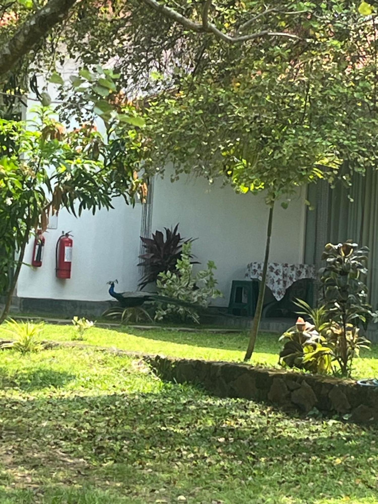 Nature Resort Polonnaruwa Exterior foto